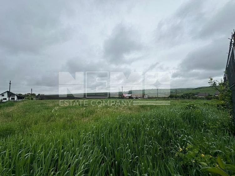 Teren Construcții intravilan de 2000 mp, în Moara Carp