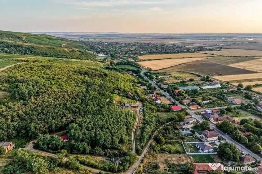 Teren în Miniș
