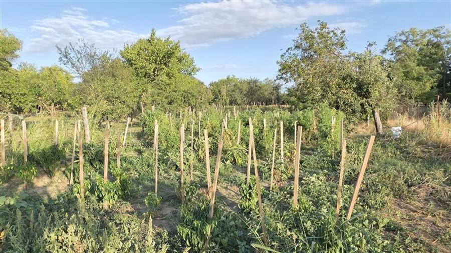Casă individuală cu 7 camere cu Canalizare în Răcășdia