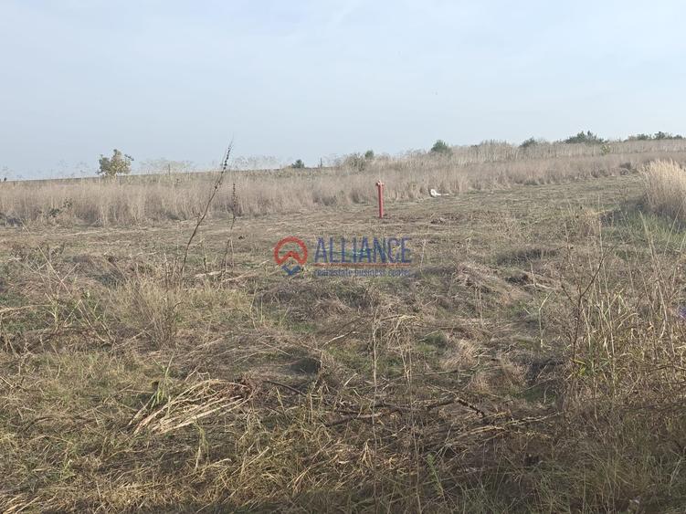 Teren intravilan de 1781 mp, în Valu lui Traian