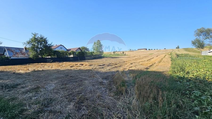 Teren Construcții intravilan de 7500 mp, în Moara Carp