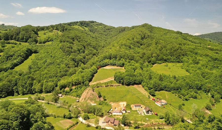 Teren Construcții extravilan de 16000 mp, în Poiana Mărului