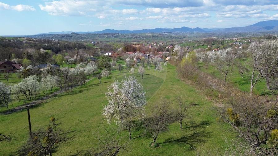 Teren Construcții intravilan de 1646 mp, în Cărbunari