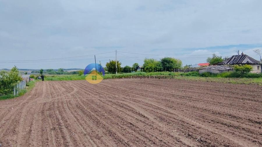 Teren intravilan de 12300 mp, în Cârligi