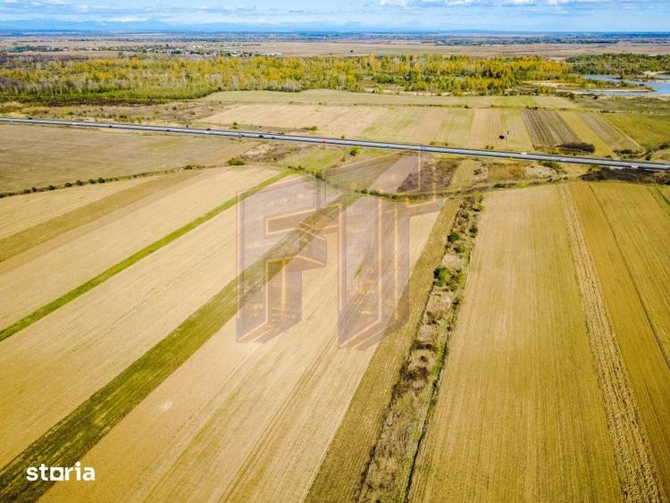 Teren de 31700 mp, în Uliești