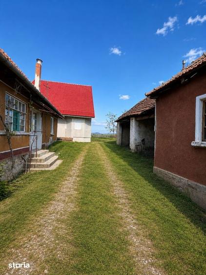 Casă cu 5 camere cu Teren 1396 Mp în Tileagd