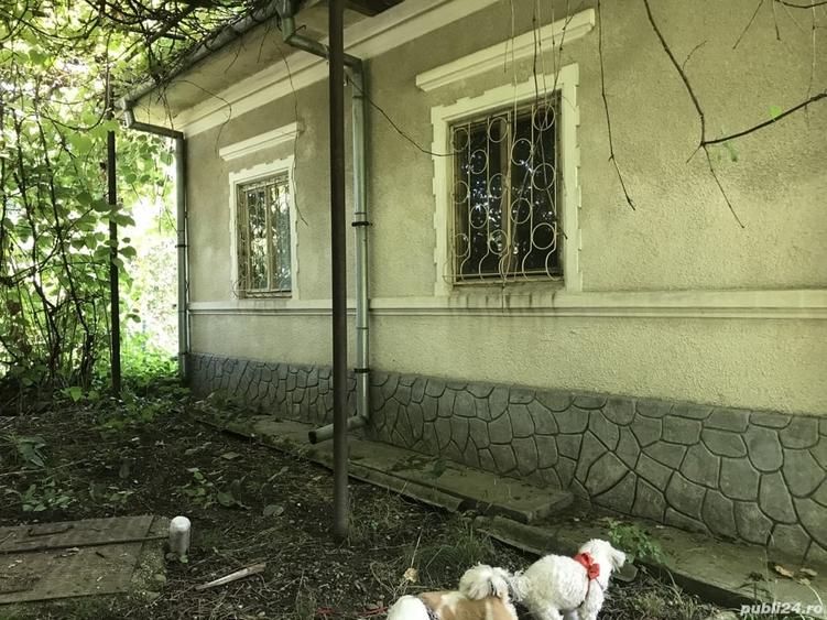 Casă cu 3 camere în Voinești
