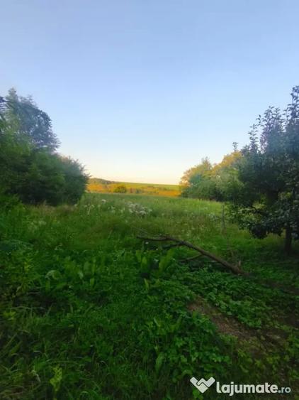 Casă cu 2 camere cu Teren 3500 Mp în Negostina