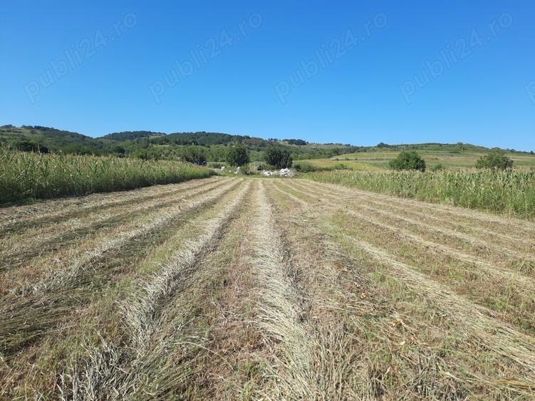 Teren de 2500 mp, în Berzasca