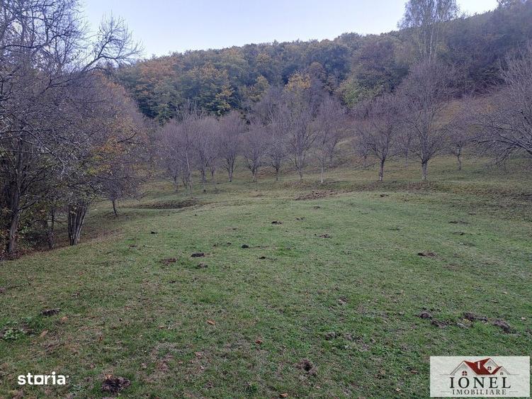 Casă cu 2 camere cu Teren 17399 Mp în Valea Vințului
