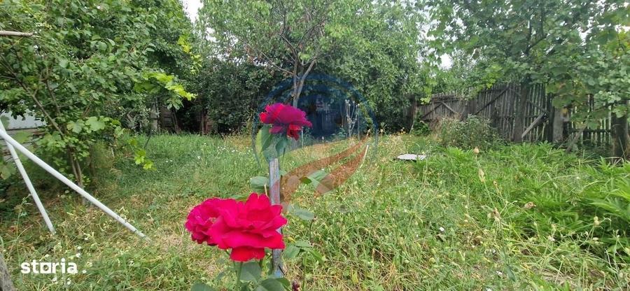 Casa parter cu teren generos de 595 mp, in Simnicul de Jos Craiova - 15