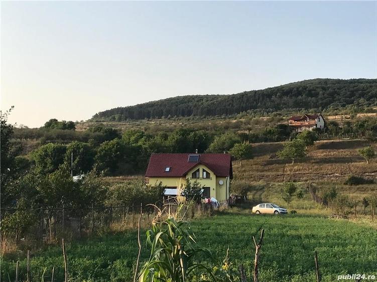 Teren de 2400 mp, în Rădaia