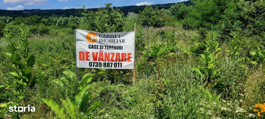 Teren de 2800 mp, în Osoi