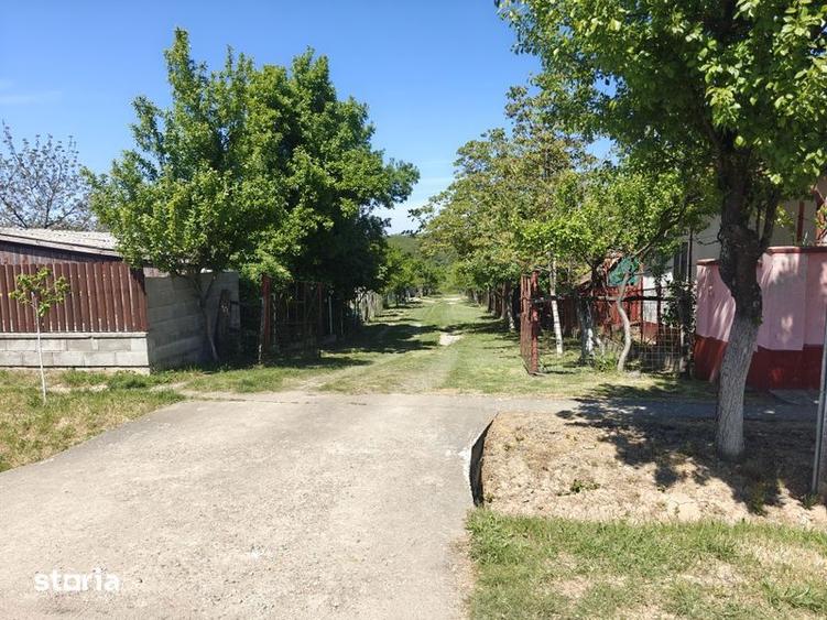 Teren de 5000 mp, în Calea Aradului