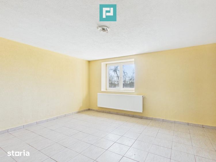 Casă cu 8 camere cu Teren 22919 Mp în Constantin Daicoviciu