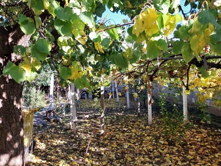 Casă cu 3 camere cu Teren 500 Mp în Central