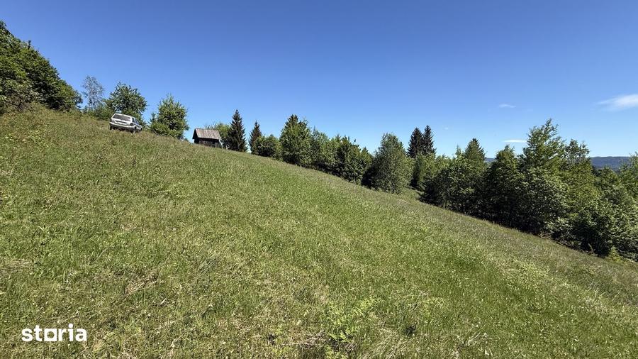 Teren de 21053 mp, în Vama