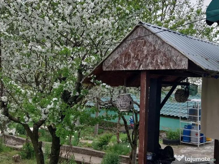 Casă cu 4 camere în Rariștea
