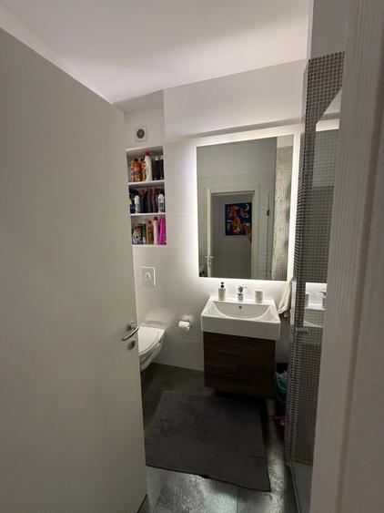 Inchiriere Apartament 4 Camere Cu Gradina Iancu Nicolae - 16