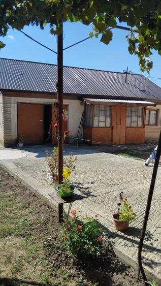 Casă cu 4 camere cu Teren 4000 Mp în Ștefănești