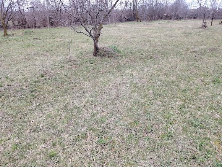 Teren de 1400 mp, în Bănești