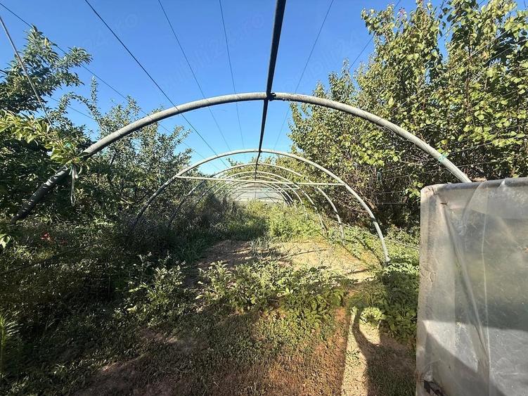 Casă cu Teren 2894 Mp în Segarcea-Vale