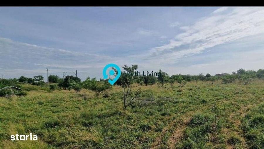 Teren de 5800 mp, în Domnești