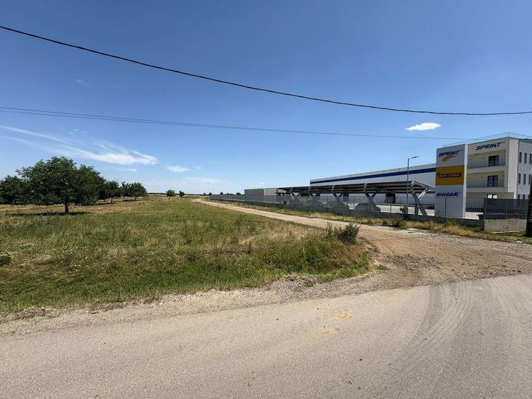 Teren Construcții intravilan de 10000 mp, în Brănești