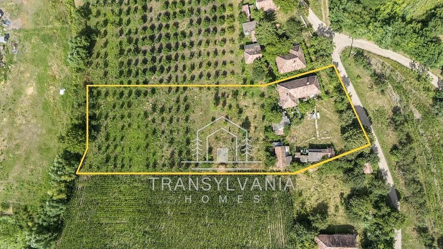 Casă cu Teren 2560 Mp în Sâmboleni