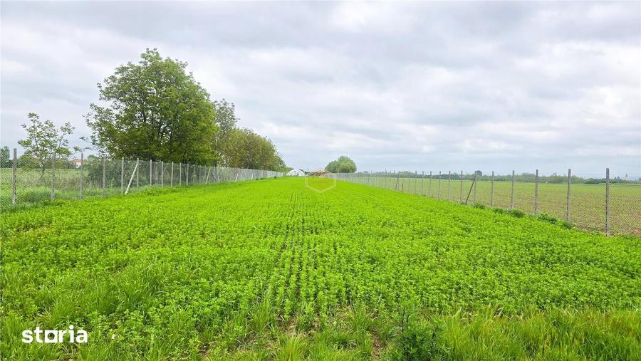 Teren de 3600 mp, în Burdea