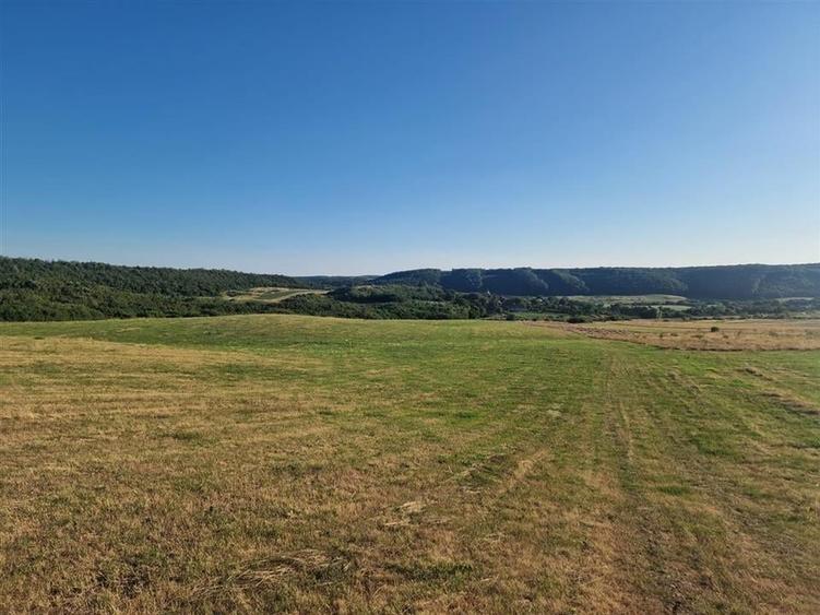 Teren Construcții intravilan de 13234 mp, în Betfia