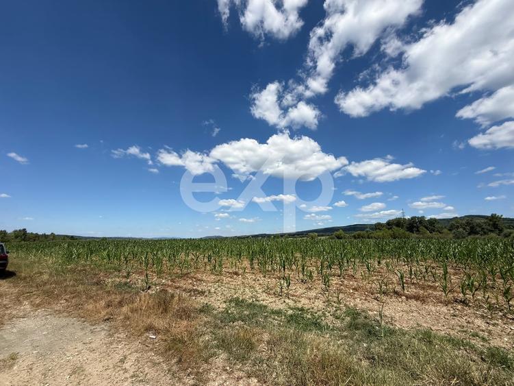 Teren agricol extravilan de 14000 mp, în Budeasa