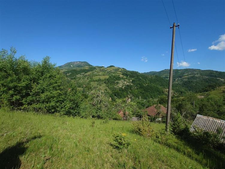 Casă individuală cu 3 camere cu Teren 13500 Mp în Blăjeni