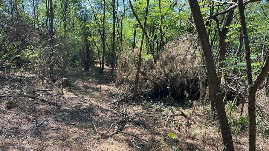 Teren extravilan de 3600 mp, în Bradu