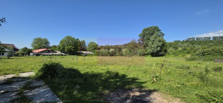 Teren intravila 40.679 mp in Campina, dezvoltare imobiliara - 6