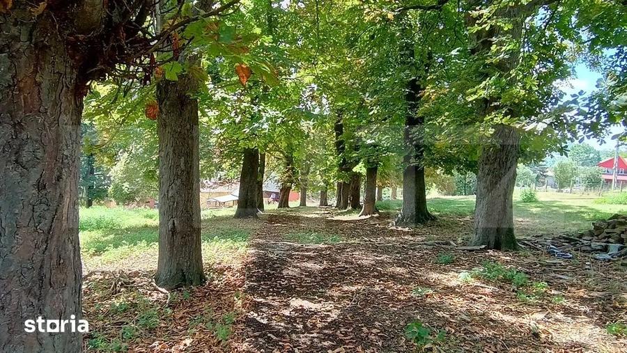 Casă cu 3 camere cu Teren 18449 Mp în Glodeni