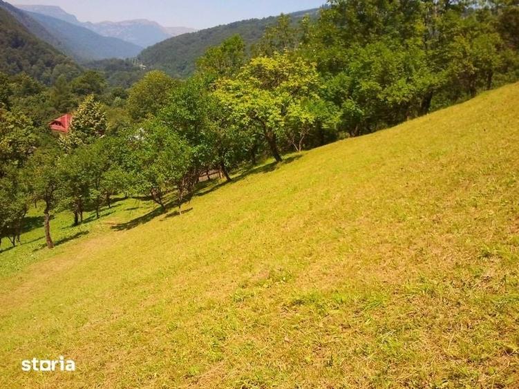 Teren de 4350 mp, în Posada