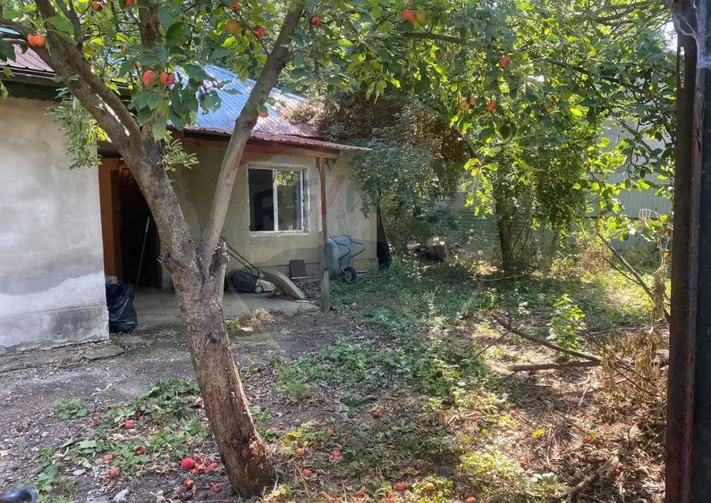 Teren de 299 mp, în Voluntari