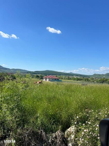 Teren de 12000 mp, în Central