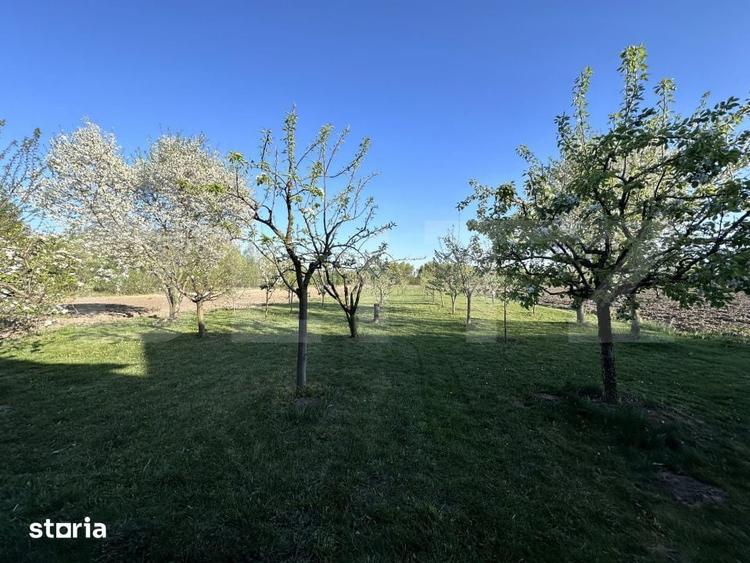 Casă cu 5 camere cu Teren 2070 Mp în Dărmănești
