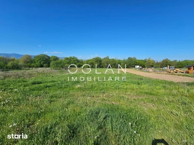 Teren de 2600 mp, în Mohu