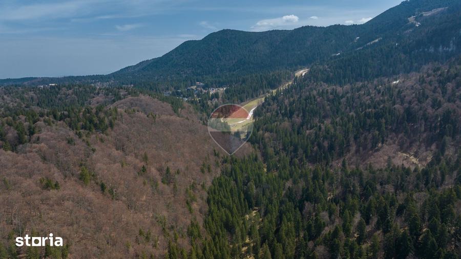 Teren intravilan, 56000 mp, Poiana Brasov - 5