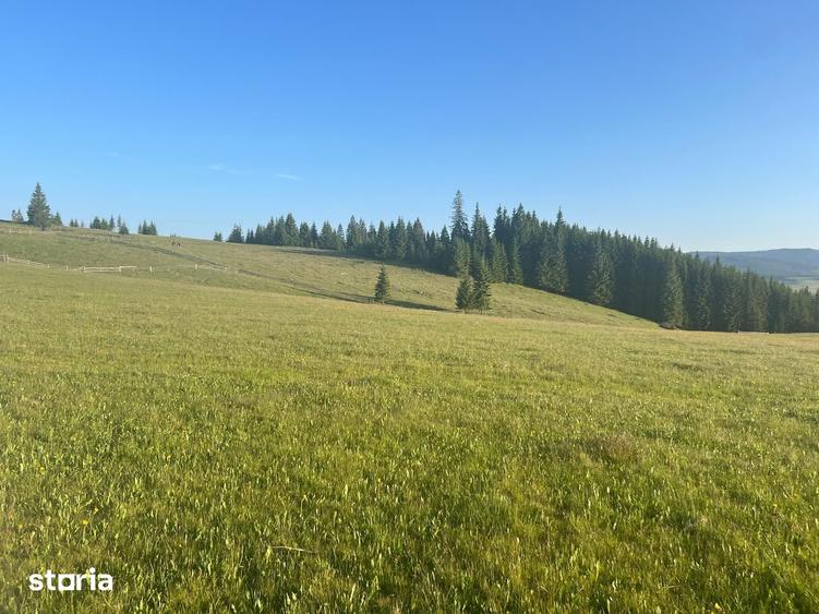 Teren de 500000 mp, în Ciocănești