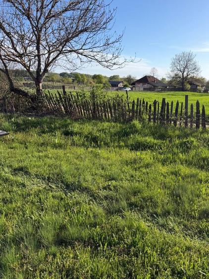 Teren de 2900 mp, în Bumbești-Pițic