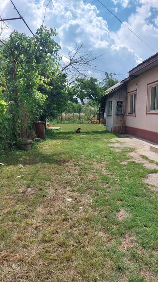 Casă individuală cu 3 camere cu Teren 2138 Mp în Satu Nou