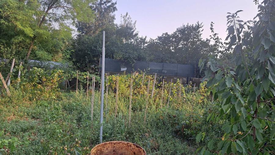 Casă cu 4 camere în Brâncoveanu