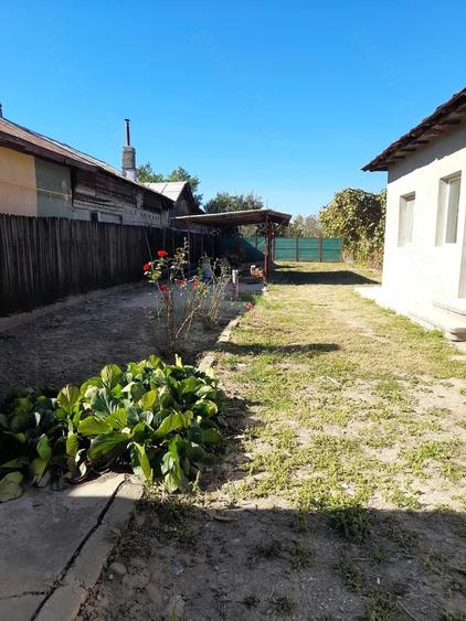Casă cu 4 camere cu Teren 1787 Mp în Filipeștii de Târg