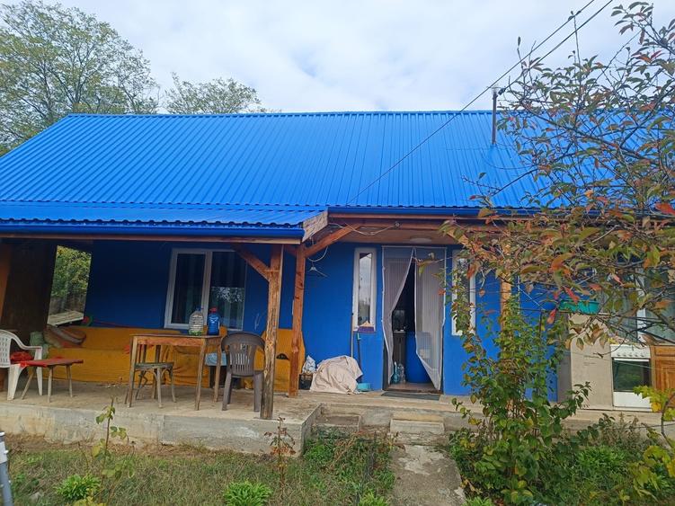 Casă cu 3 camere cu Teren 4500 Mp în Mirău