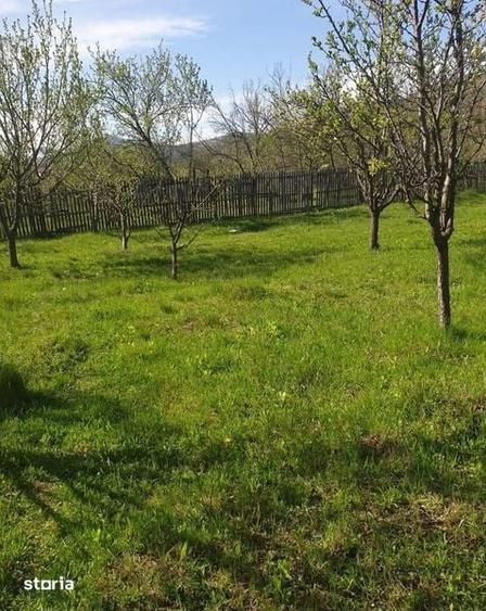 Teren de 750 mp, în Chiojdu