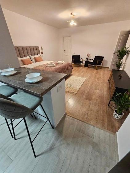 Apartament cu 2 camere decomandat, mobilat în Drumul Poienii